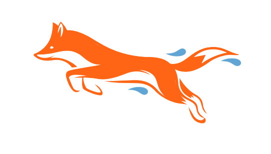 WashFox running fox